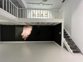 MARINA VARGAS. «Las Palabras que aún no poseemos». XI Bienal de Lanzarote.