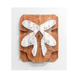 Pabón Óscar Abraham